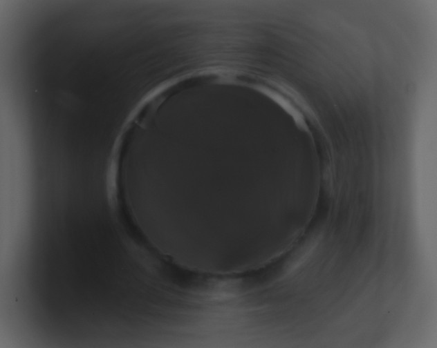 X0000100890484200807081044