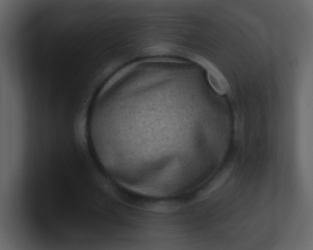 X0000100890485200807081044