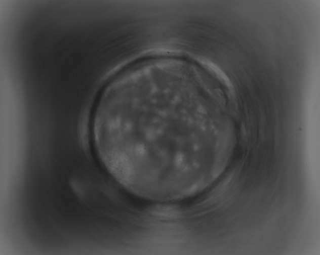 X0000100890487200807081044