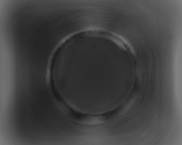 X0000100890488200807081044