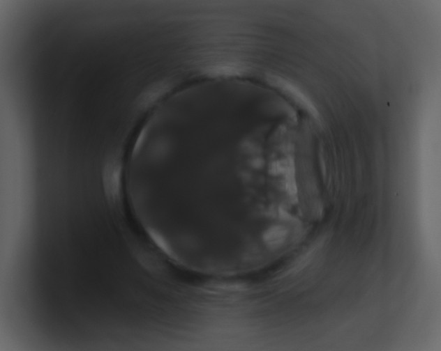 X0000100890491200807081044