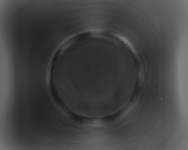 X0000100890492200807081044