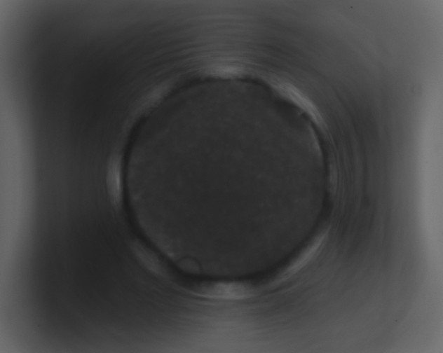 X0000100890493200807081044