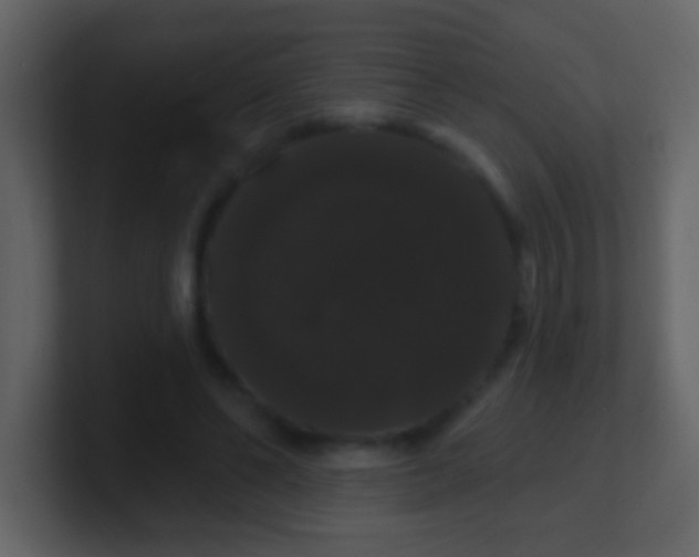 X0000100890494200807081044