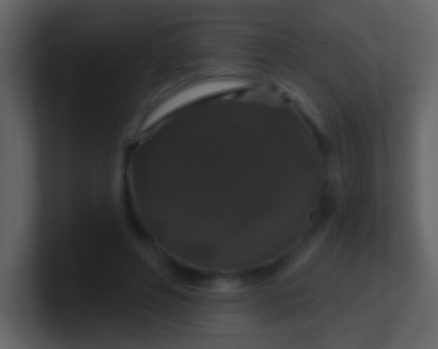 X0000100890496200807081044