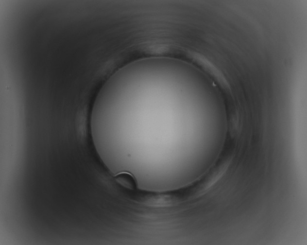 X0000100890497200807081044