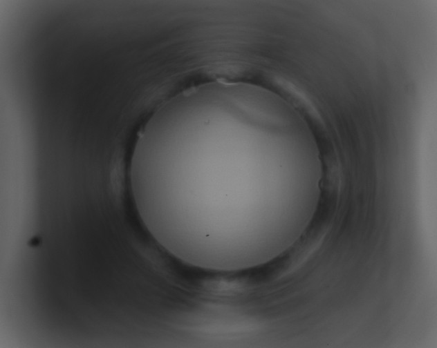 X0000100890498200807081044