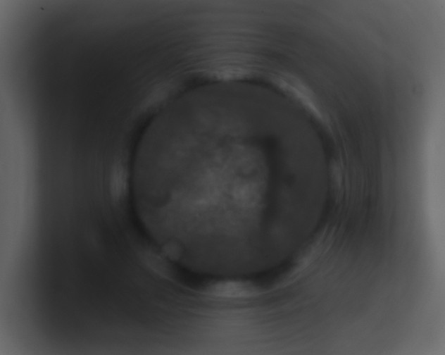 X0000100890499200807081044