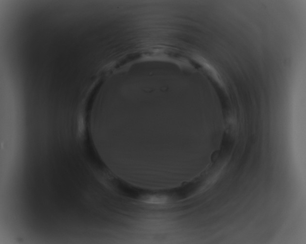 X0000100890500200807081044