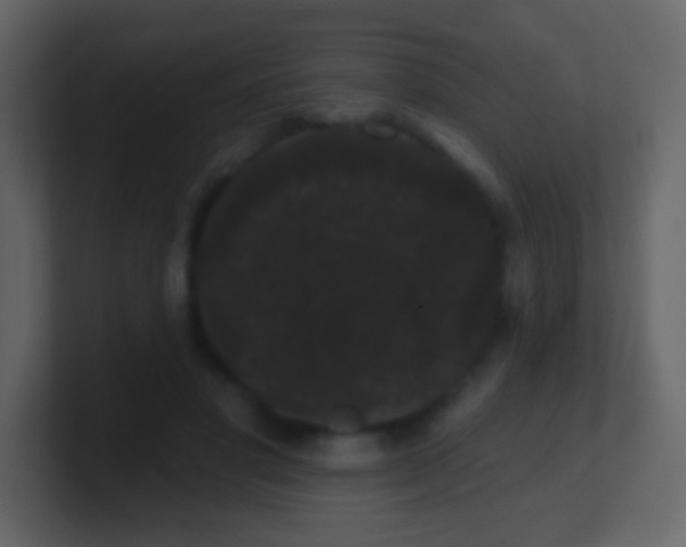 X0000100890501200807081044