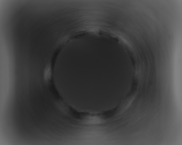 X0000100890502200807081044