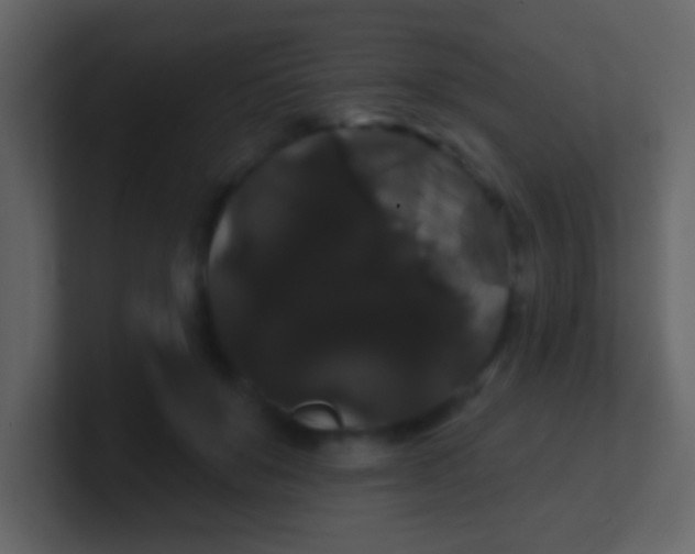 X0000100890503200807081044