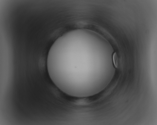 X0000100890505200807081044