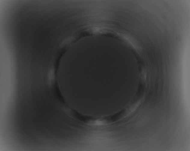 X0000100890506200807081044