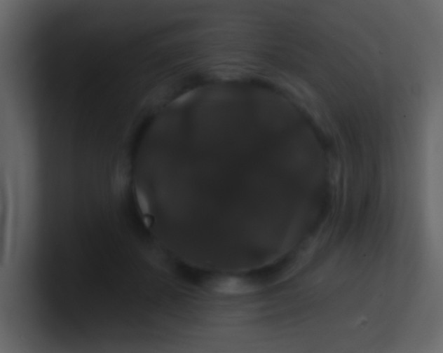 X0000100890507200807081044