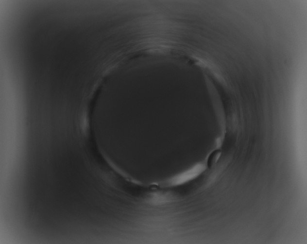 X0000100890508200807081044