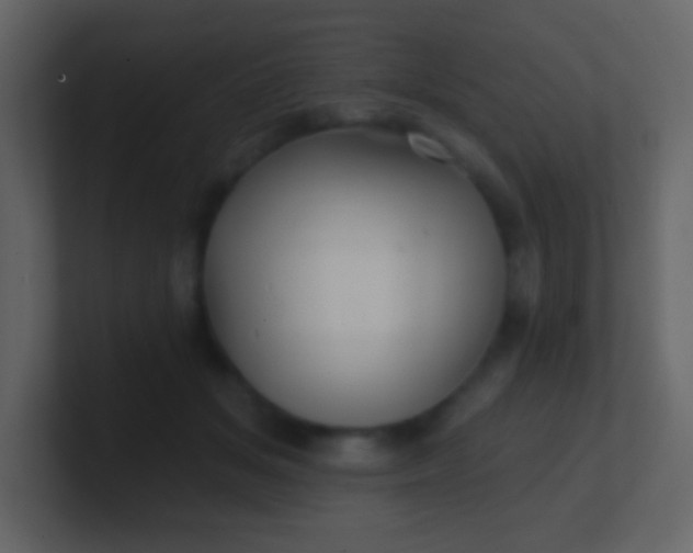 X0000100890509200807081044