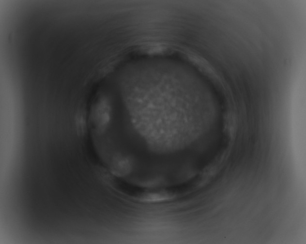 X0000100890510200807081044