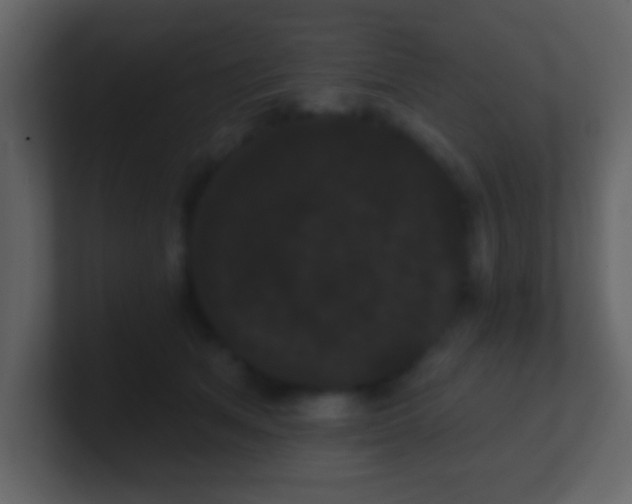 X0000100890513200807081044