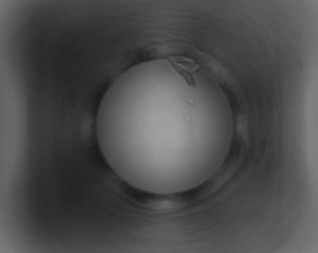 X0000100890514200807081044