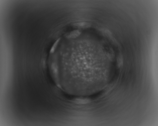 X0000100890515200807081044