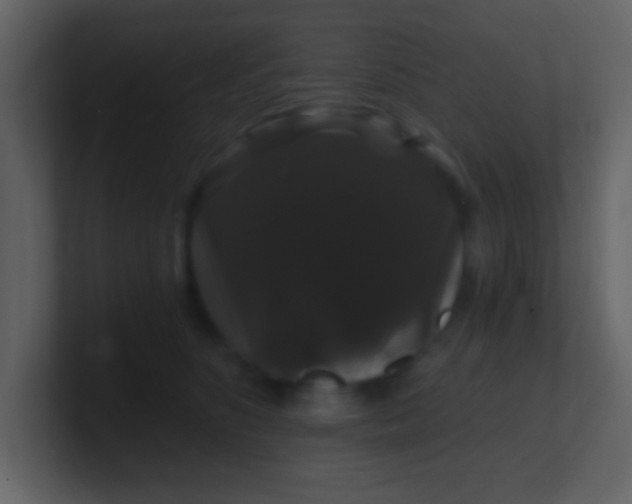 X0000100890516200807081044