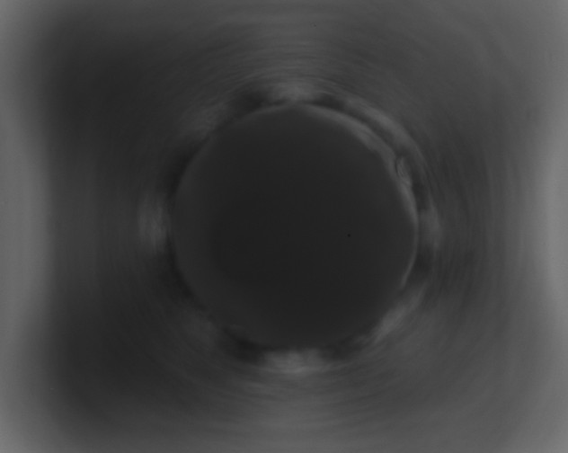 X0000100890517200807081044