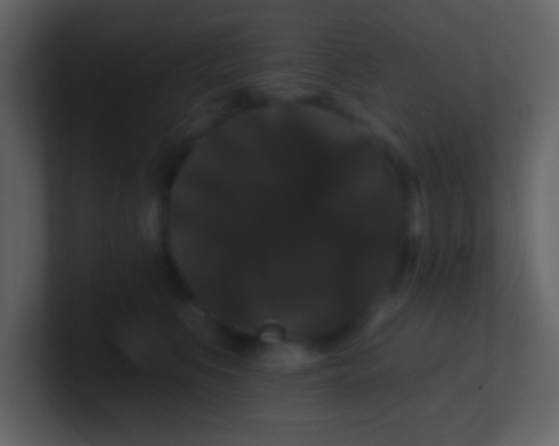 X0000100890519200807081044