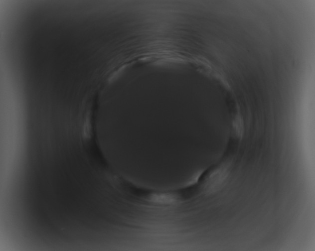 X0000100890520200807081044