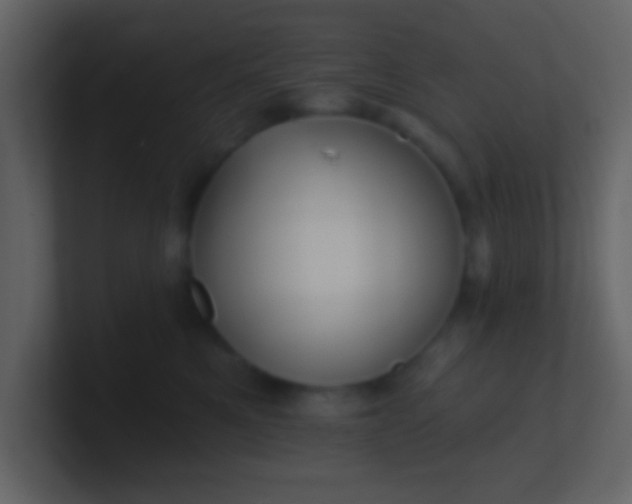 X0000100890521200807081044