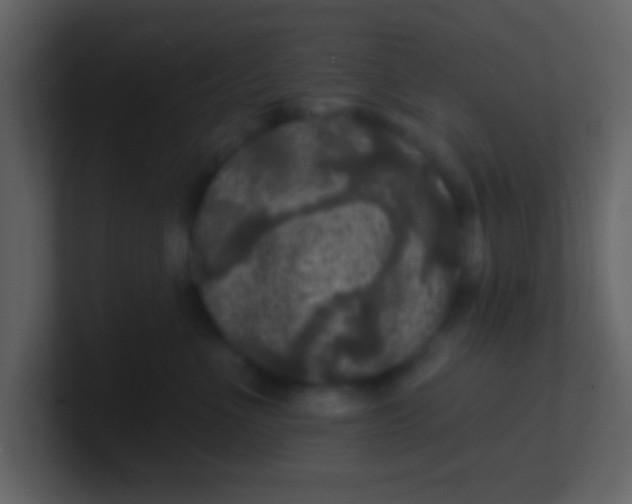 X0000100890523200807081044