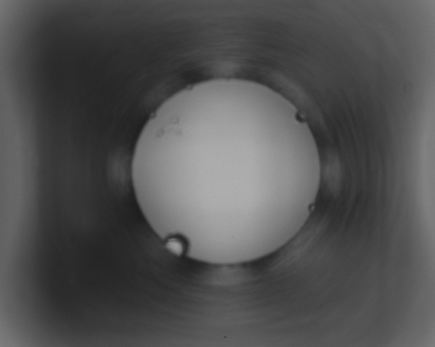 X0000100890525200807081044