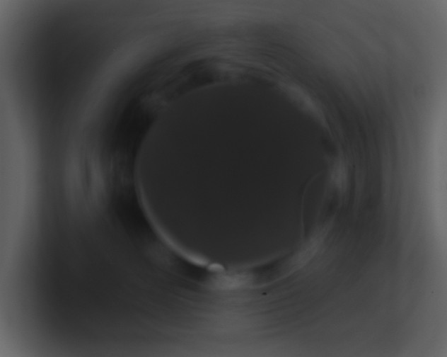 X0000100890526200807081044