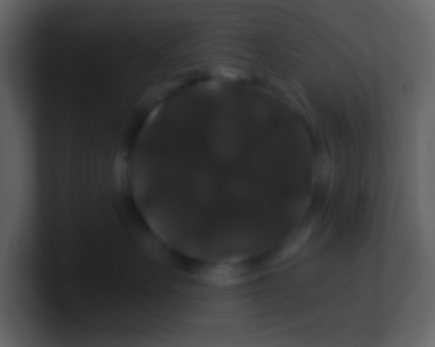 X0000100890527200807081043