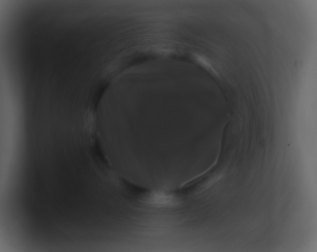 X0000100890528200807081043