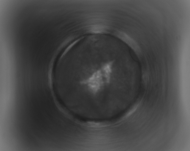 X0000100890530200807081043