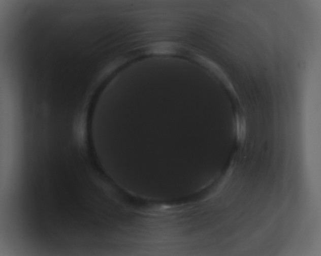 X0000100890531200807081043