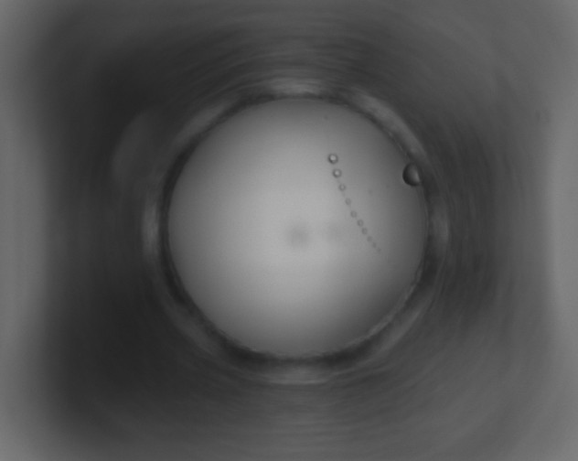 X0000100890533200807081043