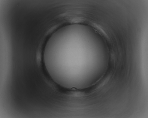 X0000100890539200807081043