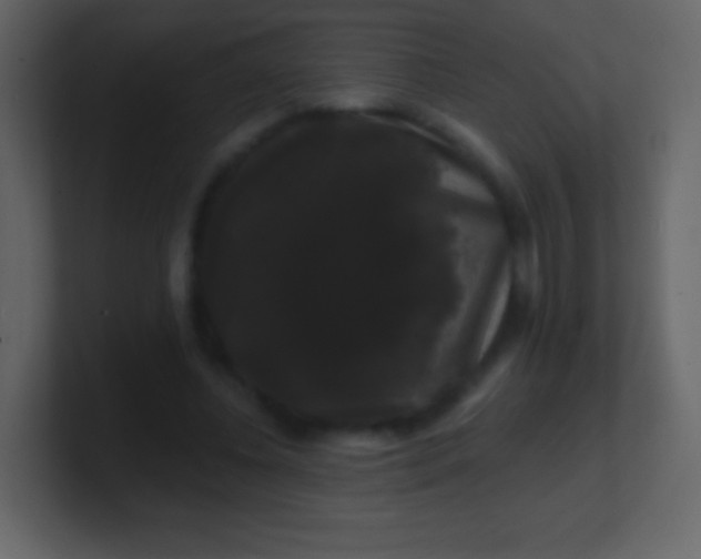 X0000100890540200807081043