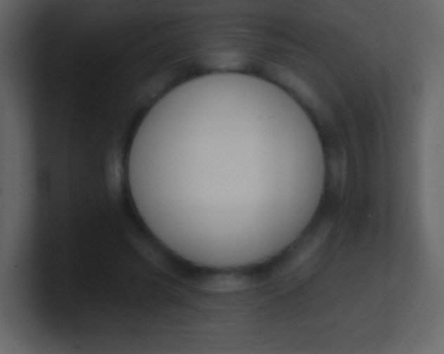 X0000100890541200807081043