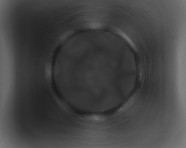 X0000100890542200807081043