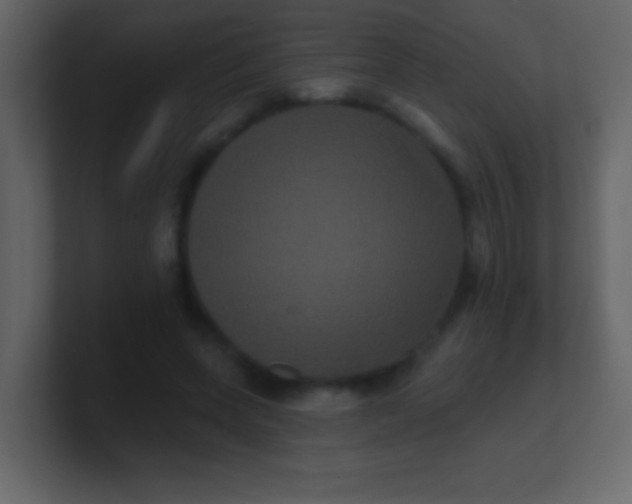 X0000100890543200807081043