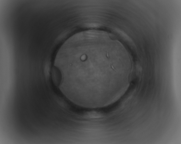 X0000100890544200807081043