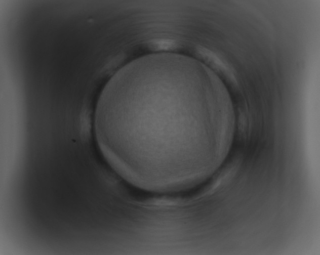 X0000100890545200807081043