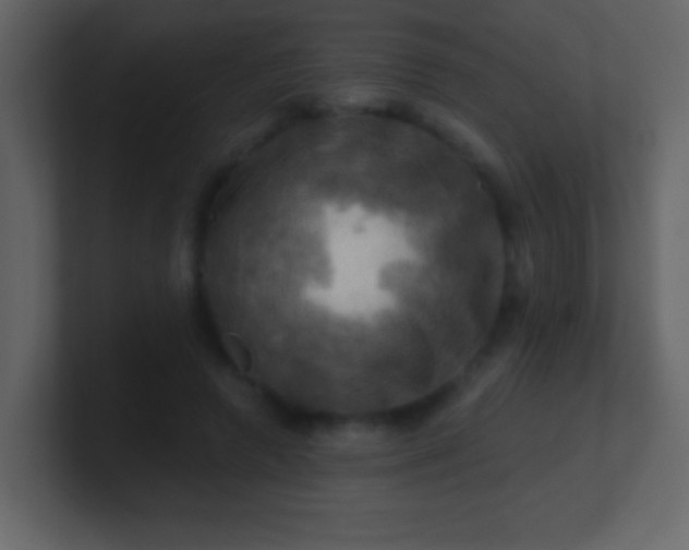 X0000100890546200807081043