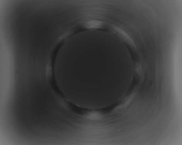 X0000100890547200807081043