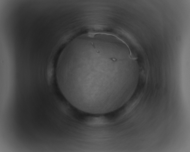 X0000100890548200807081043