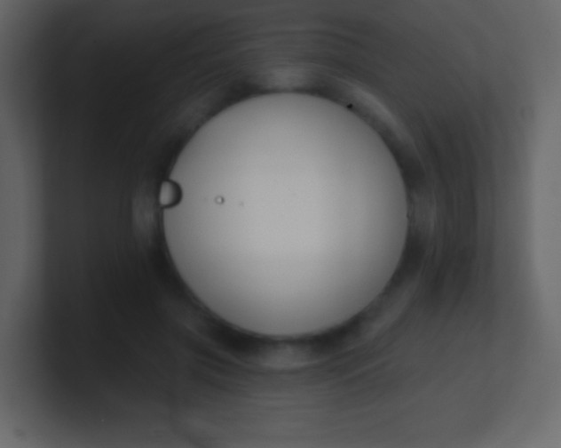 X0000100890549200807081043