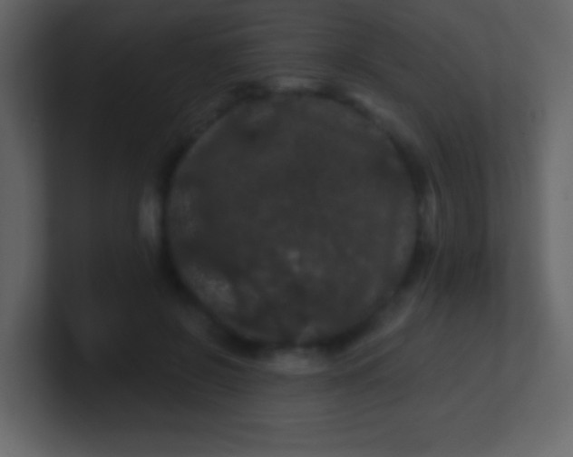 X0000100890550200807081043